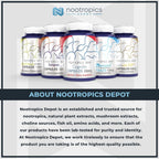 Nootropics Depot Agmatine Sulfate 250mg - 240 Capsules - image 3