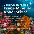 Vitapia Coral Calcium Powder & Magnesium Capsules - 120 Vegetarian Capsules - image 4