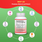 SHIFAA NUTRITION NUTRITIONAL_SUPPLEMENT
