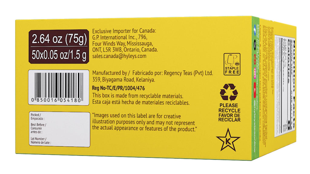 Hyleys Turmeric Root Green Tea Blend - 300 Tea Bags - image 5