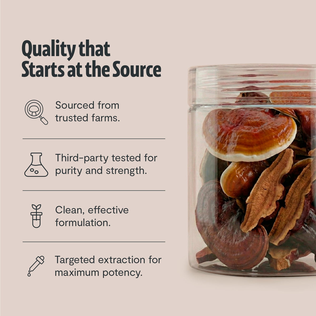 FreshCap Reishi Mushroom Powder Organic Extract - 60 Servings - image 6