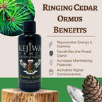 Kejiwa Ringing Cedar Ormus Siberian Pine Liquid - 3.4 fl oz - image 2
