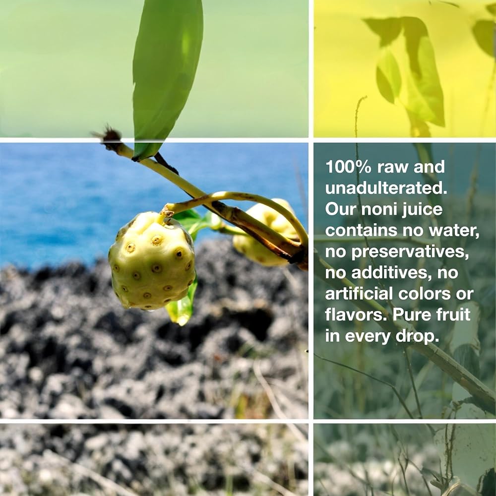 Frutos Pachamama Organic Noni Juice 100% Pure - 16 Fl Oz - image 4
