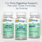 SOLARAY DAO Enzyme - Digestive Enzyme that Breaks Down Histamine - 60