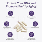 Dr. Fuhrman Ultra Cell Biotect Antioxidant Support - 120 Capsules - image 2