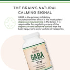 Double Wood Supplements GABA 1,000mg Extra Strength - 300 Capsules - image 5