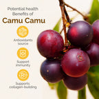 Zint Camu Camu Powder Natural Vitamin C Immune Support - 3.5 oz - image 5