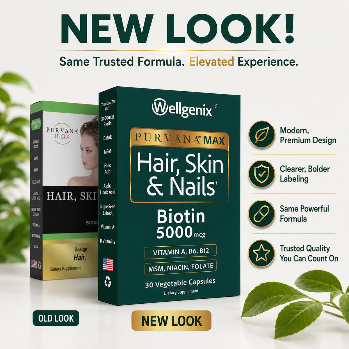 Wellgenix Purvana MAX Hair Skin & Nails Biotin 5000mcg - 60 Capsules - image 2