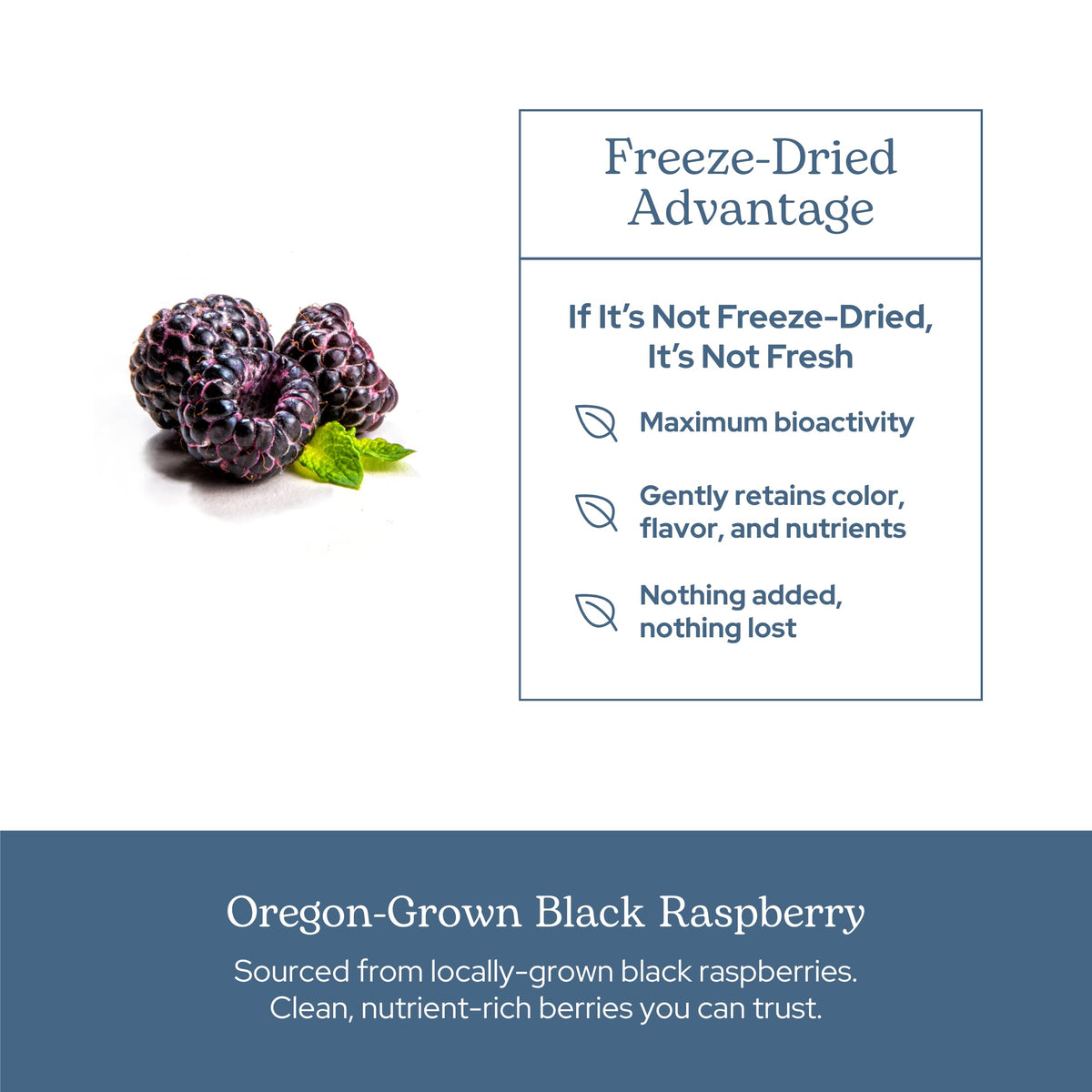 Eclectic Institute Black Raspberry Capsules Antioxidant Support - 90 Capsules - image 5