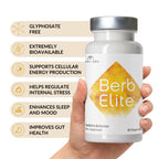 BrocElite BerbElite Berberine HCL with Broccoli Seed Complex - 60 Capsules - image 3