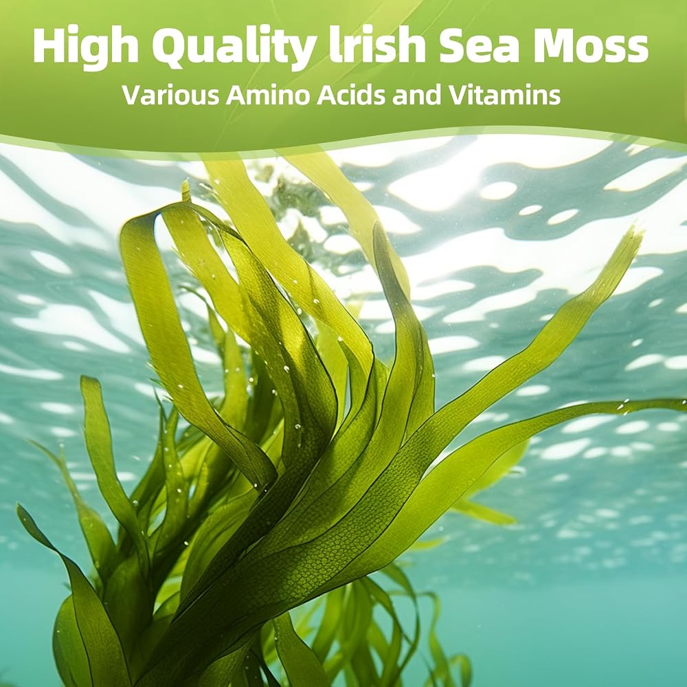 HEALOADING Sea Moss Capsules Wildcrafted Irish Seamoss - 60 Capsules - image 5