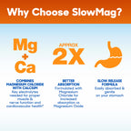 Slow-Mag Muscle & Heart Magnesium Chloride - 120 Tablets - image 7