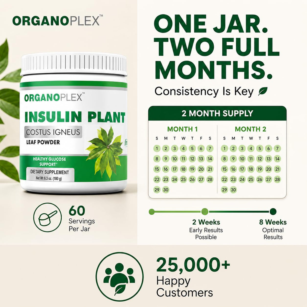 ORGANOPLEX Insulin Plant Powder - Blood Sugar Support Supplement - 2 - image 3