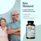Mayfair Naturals Beta Sitosterol Complex 500mg - 90 Tablets - image 2