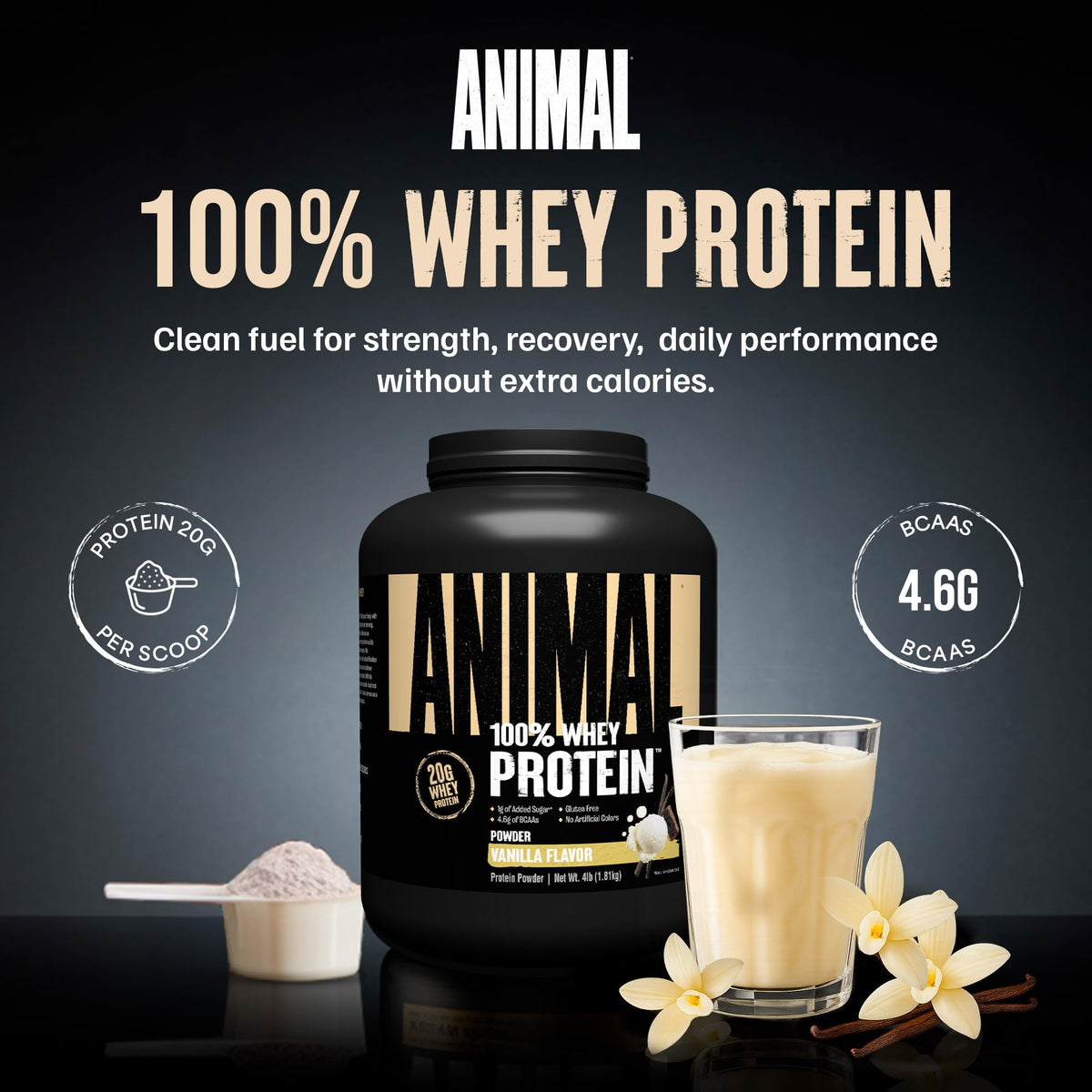 Animal 100% Whey Protein Powder Instant Iced Coffee