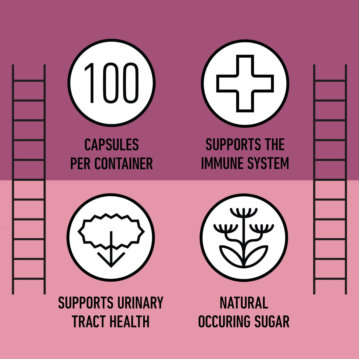 Complete Natural Products D-Mannose Cranberry Capsules 520mg - 100 Count - image 8