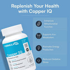 FIQ Copper IQ Chelated Supplement - 60 Vegetarian Capsules - image 2