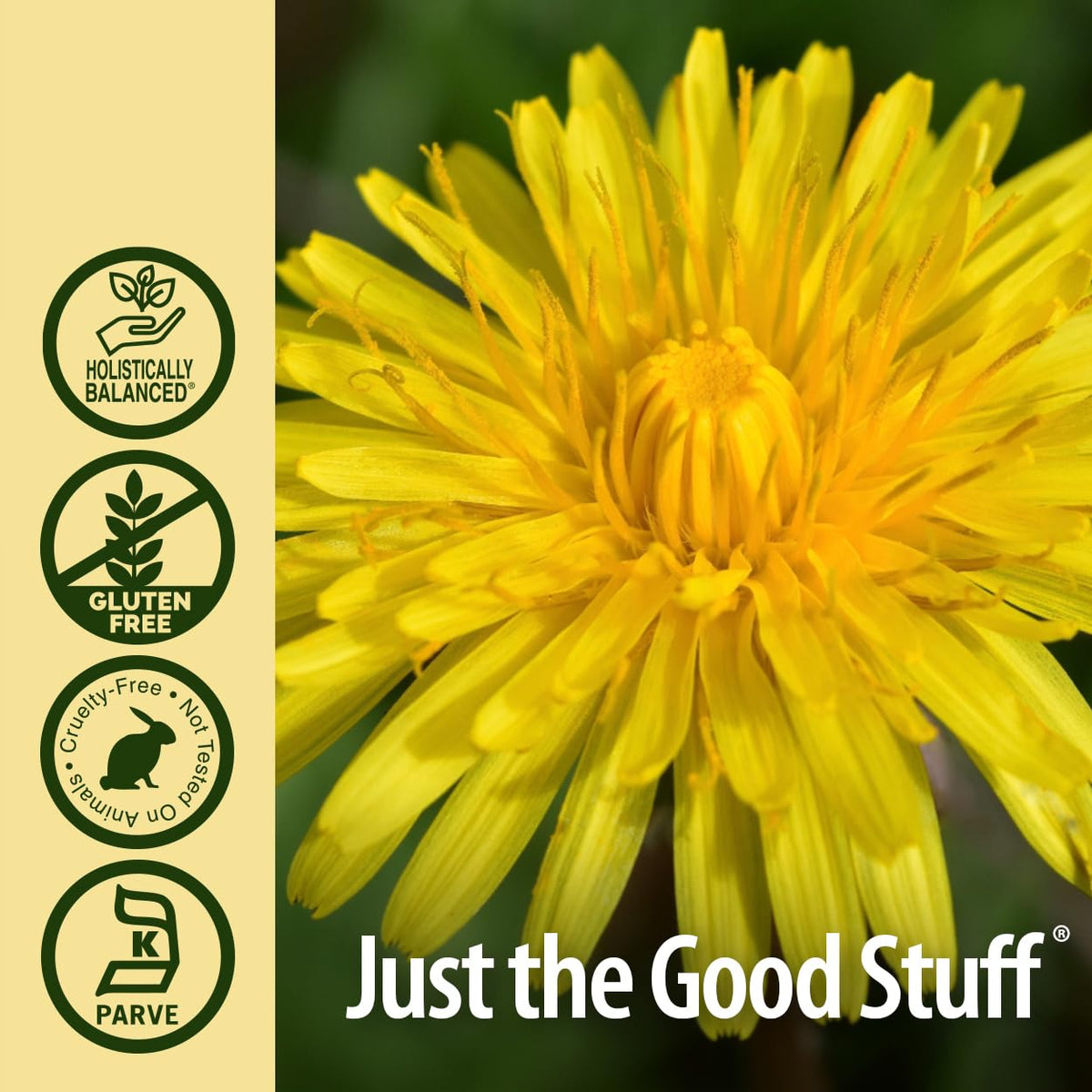 Nature's Answer Dandelion Root with Organic Alcohol Extract Fl Oz