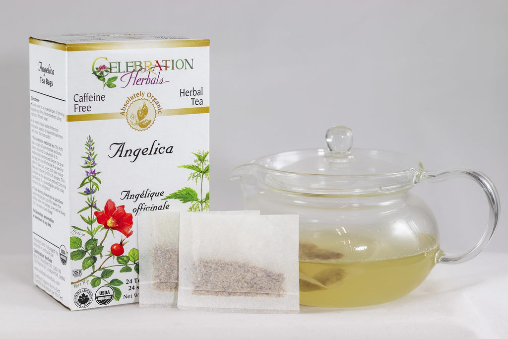 Celebration Herbals Angelica Root Organic - 24 Teabags - image 3