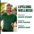 LABO Nutrition VesseCLEAR CX: Nattokinase NSK-SD + Gamma Oryzanol