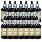 Herbal Terra LLC Hedyotis (Hedyotis Diffusa) Tincture