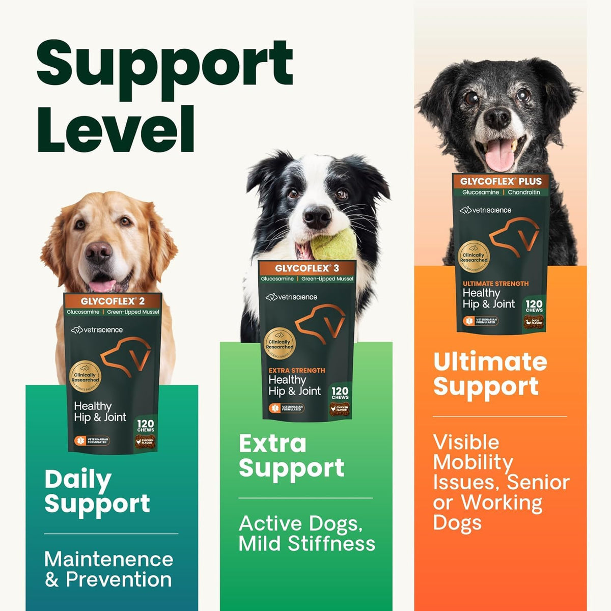 VetriScience Healthy Hip & Joint Chews for Dogs, Chicken - 120 Count - image 3