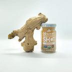 ALLWELLO Cold-Pressed Ginger Shot, 60 mL, USDA Organic, NONGMO