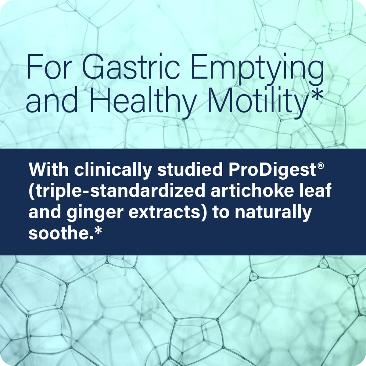 Enzyme Science GI Motility Complex Supplement - 60 Capsules - image 4