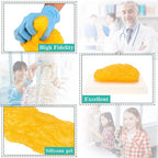 RONTEN 1 lb Human Fat Anatomical Model - Educational Display - image 4