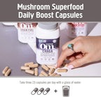 OM Mushroom Superfood Chaga Mushroom Capsules Immune Support - 90 Count - image 6