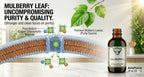 AlchePharma Chlorophyll from Mulberry Leaf as Sodium Copper