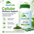 TROYA Sanicells AFA Blue-Green Algae Supplement 600mg - 90 Capsules - image 5