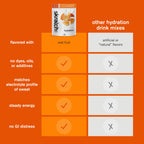 Skratch Labs Hydration Sports Drink Mix
