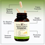 Herbal Roots Panax Ginseng Organic Korean Ginseng Root Powder - image 4