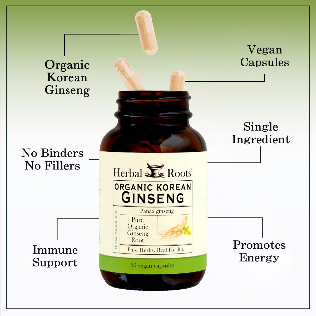 Herbal Roots Panax Ginseng Organic Korean Ginseng Root Powder - image 4