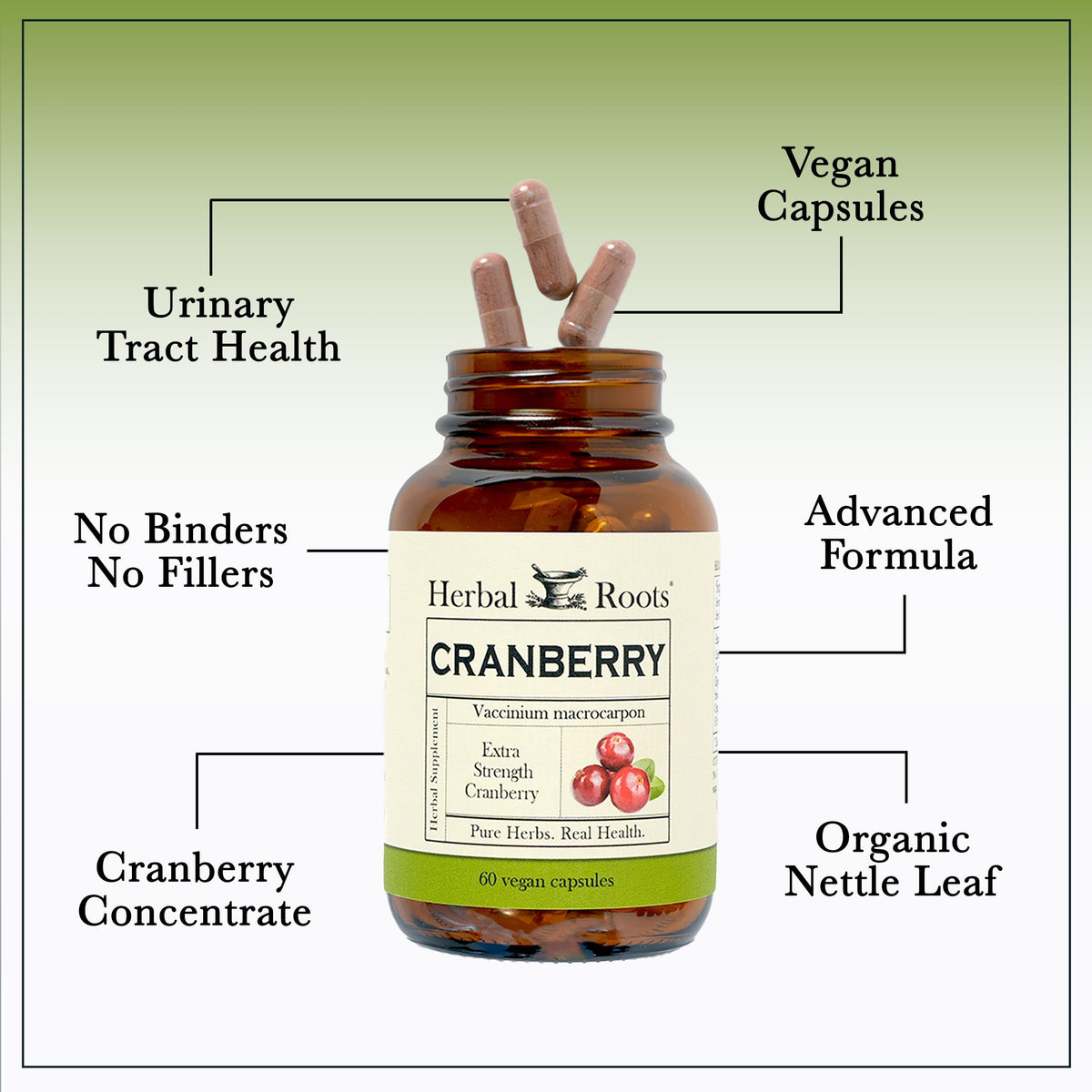 Herbal Roots Maximum Strength Cranberry Pills for Urinary Tract Health - image 4