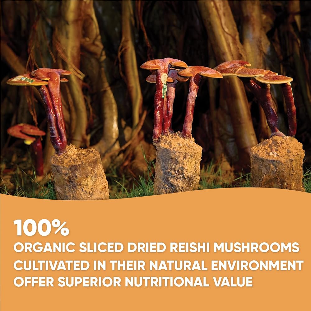 VOS GANOLUCIDUM Organic Sliced Dried Reishi Mushroom - 1.76 oz - image 3
