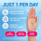 Dr. Berg Probiotic Supplement 60 Billion CFUs - 30 Capsules - image 3
