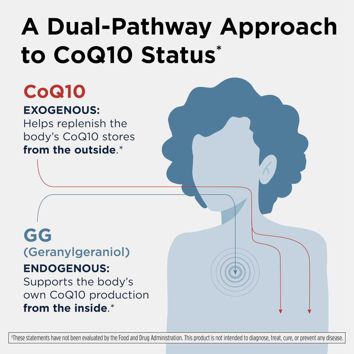 Designs for Health Q-Evail 200 CoQ10 with GG - 60 Softgels - image 4