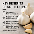 Total Natural Garlic Extract 5000mg - 2400 Softgels - image 5
