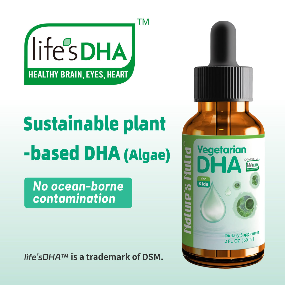 Nature's Nutra Vegetarian DHA Liquid for Kids - 2 Fl Oz - image 3