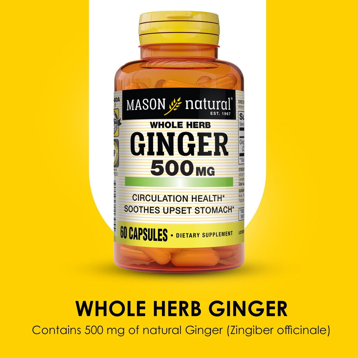 MASON NATURAL Whole Herb Ginger 500 mg - 180 Capsules - image 4