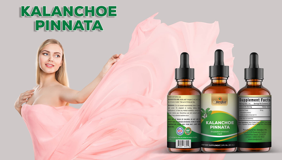 Ozengluz Kalanchoe Pinnata Herbal Supplement Liquid Extract - 2 Fl Oz - image 3