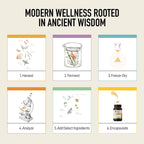 Living Alchemy Fermented Rhodiola Rosea - 60 Capsules - image 11