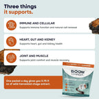 BOOM Chaga Mushroom Liquid Concentrate Packets