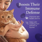 C60 Evo Cat Lover Set Antioxidant Support - 2 Pack - image 4