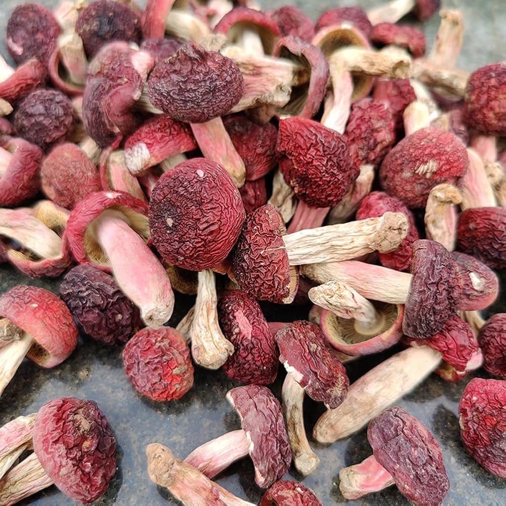 CHLYAET Dried Russula Red Mushroom Honggu - 100g - image 4