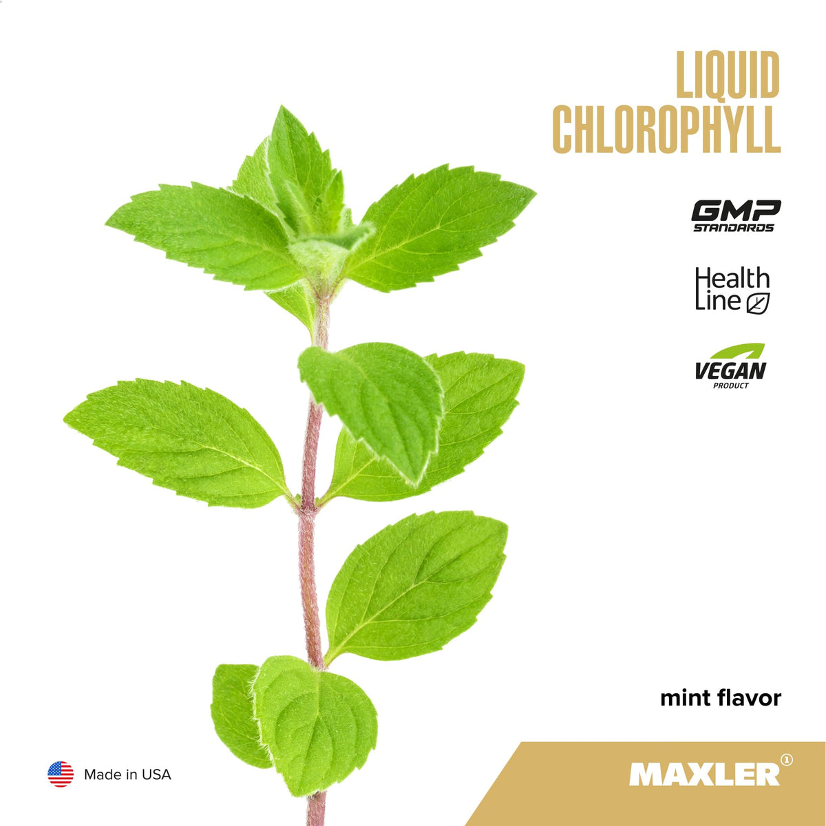 Maxler Chlorophyll Liquid - Vegan Liquid Chlorophyll - 15.2 fl oz