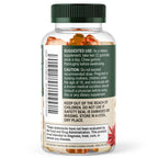 Nature's Nutrition Turmeric Gummies - 95% Curcuminoids - Best