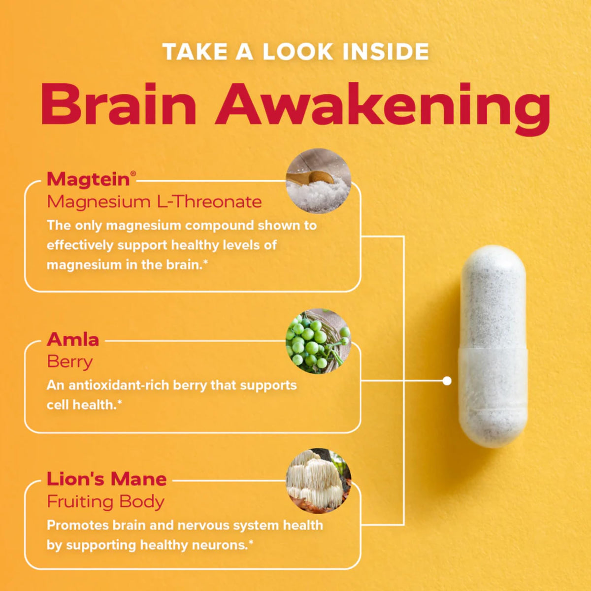 Redd Remedies Brain Awakening Cognitive Support - 120 Capsules - image 5